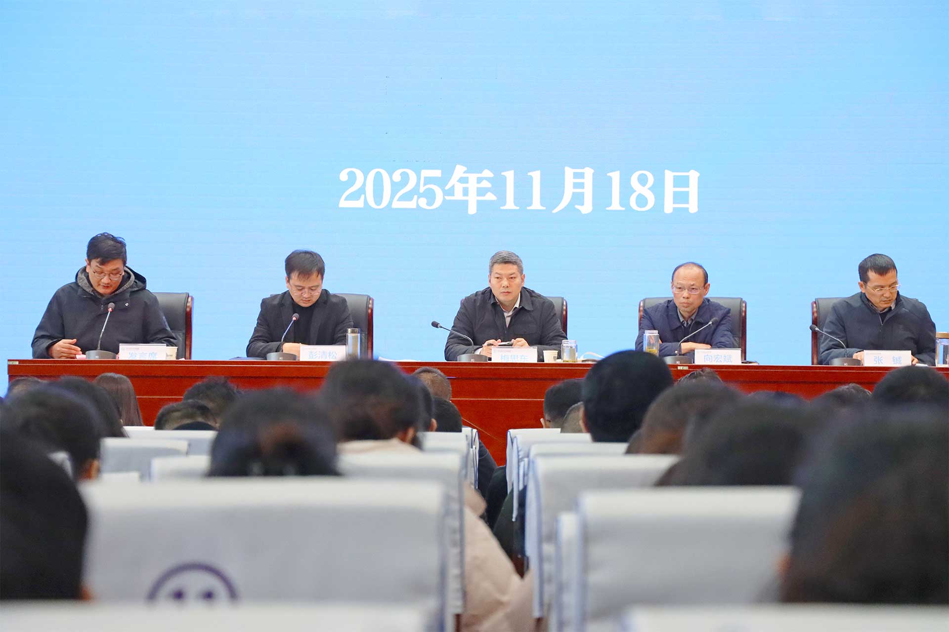 光山县召开医保基金管理突出问题专项整治工作推进会