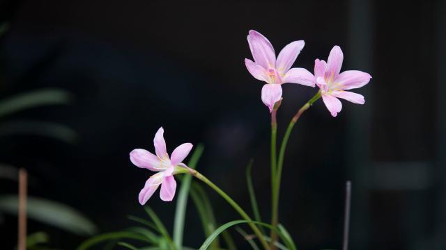 夫妻相处：出现这种行为，感情就难再继续