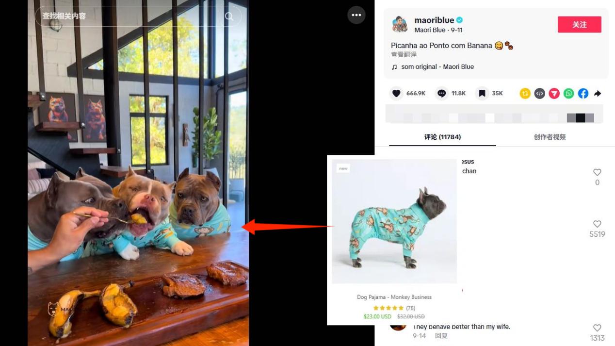 一件狗衣服卖到两三百，这个品牌在欧美6个月营收5600万美元！