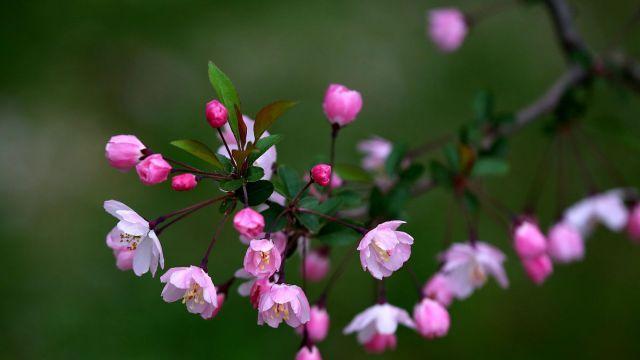 断联后的这些反应，暗示着两个人是真爱吗？