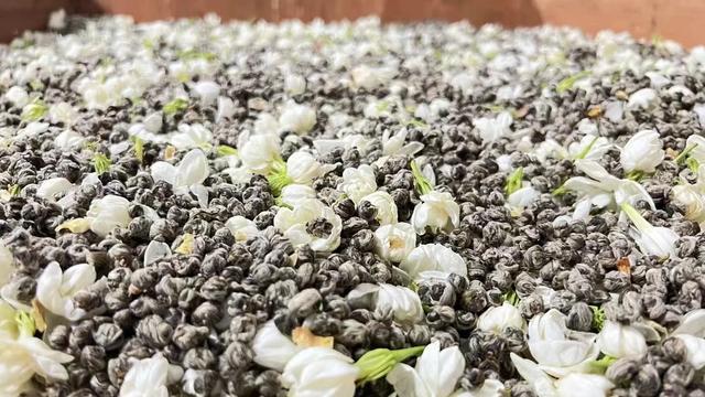 茉莉花茶入门级爱好者，怎么买茉莉花茶？哪里的茉莉花茶比较出名