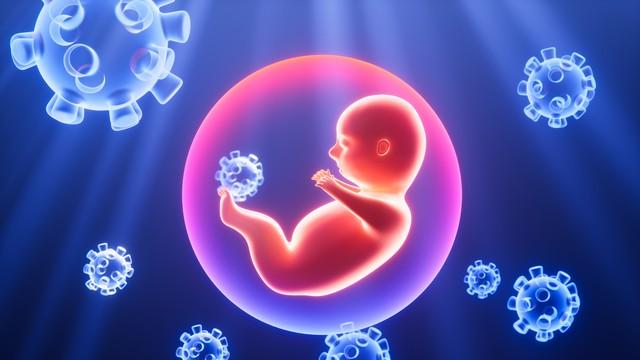 怀了“高质量胚胎”？身体早给你发了3个温柔信号