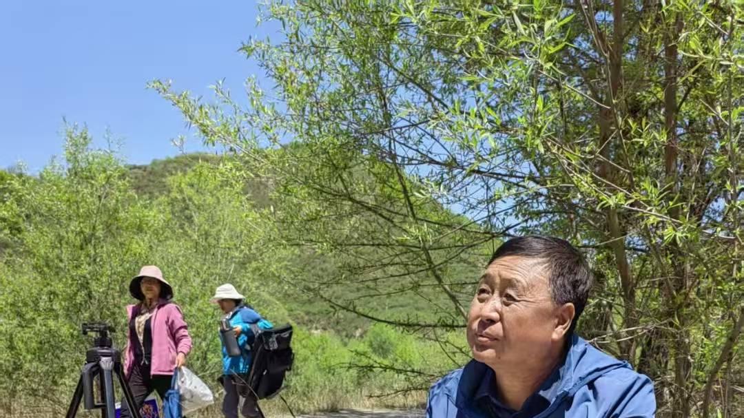 书画家们在野外写生的场景充满了艺术与自然的交融