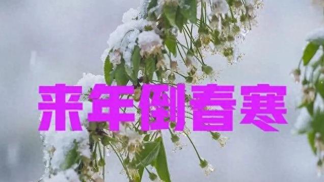 “倒春寒有没有，就看腊月初五”，明日腊月初五，来年倒春寒吗？