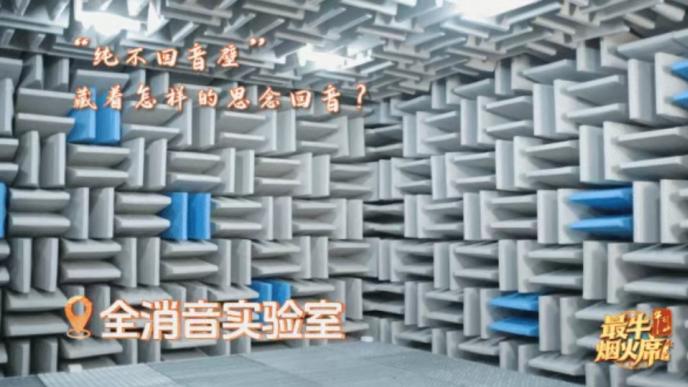科技遇团圆，《最牛烟火席》里的科大讯飞AI秀