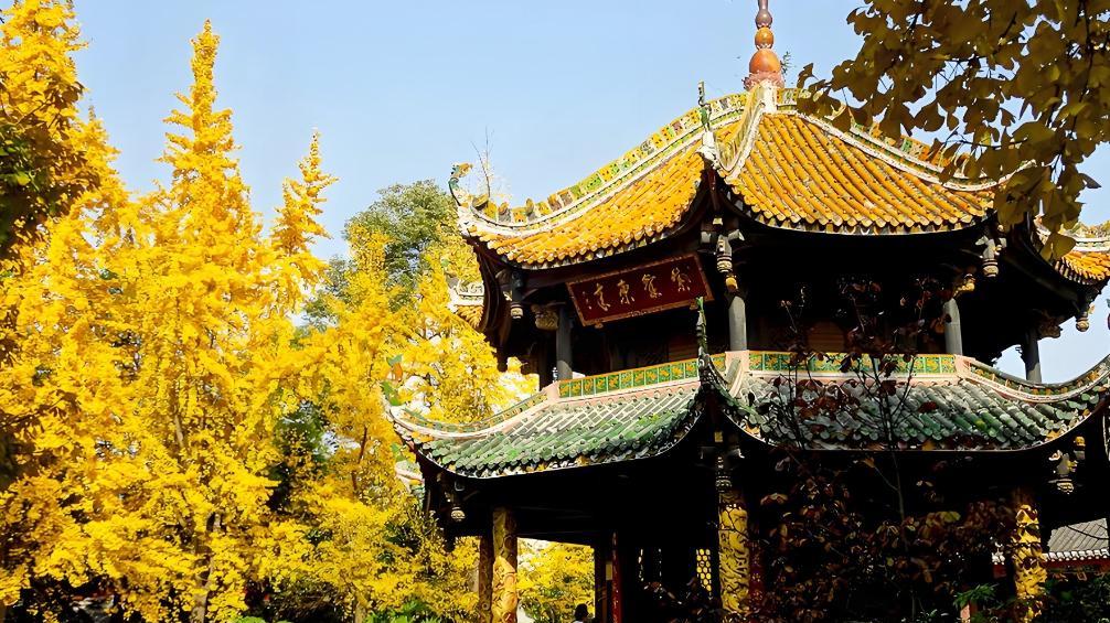 北京30岁ⅠT男，生活压力山大，想回老家成都，但女友不想回咋办