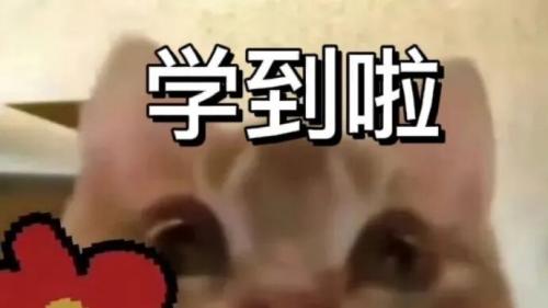 教师无线扩音器哪个牌子好？小蜜蜂扩音器哪个牌子最好？选购指南