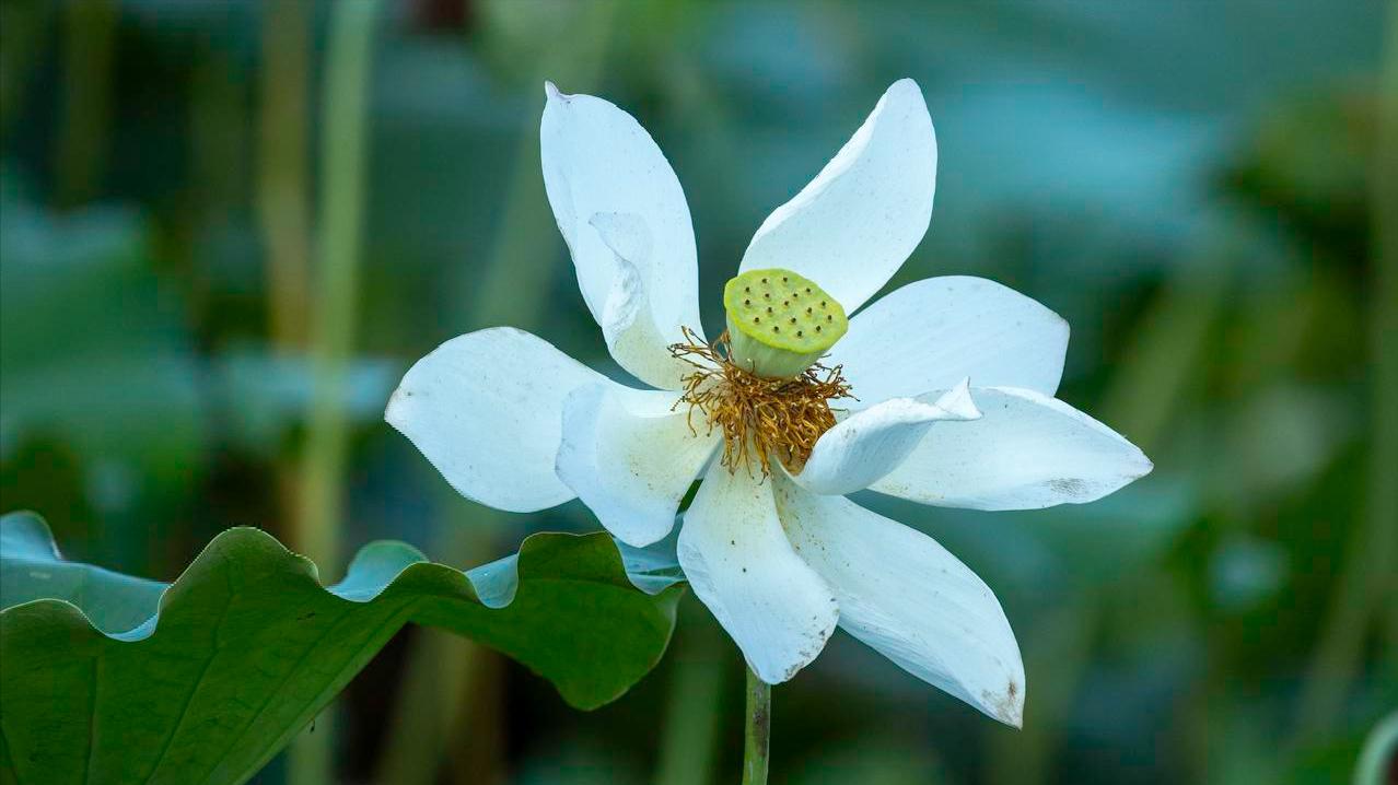 人生感悟：很多事情，是不能光讲道理的！