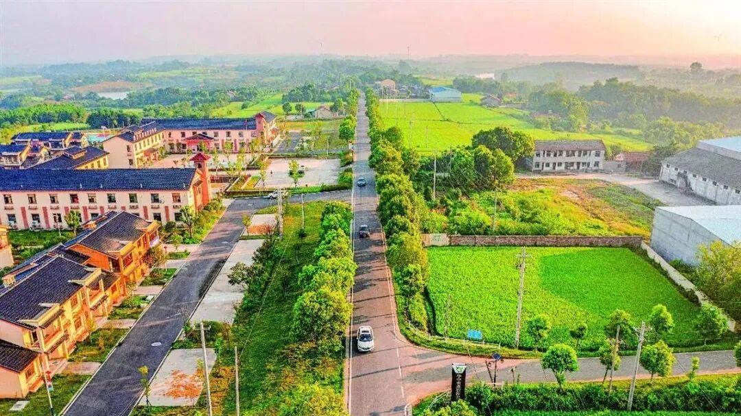 荆门市掇刀区将军路提档升级