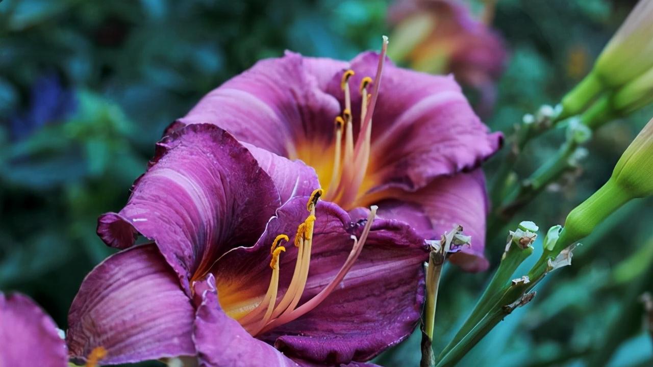 人老了咋办？做好这三件事，儿女绝对不烦你！