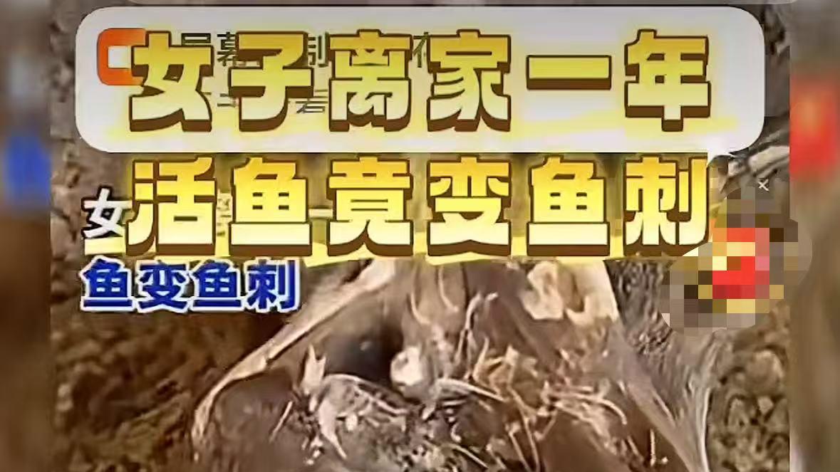 “活鱼变鱼刺”女子离家一年想起家中鱼缸，朋友称不用管