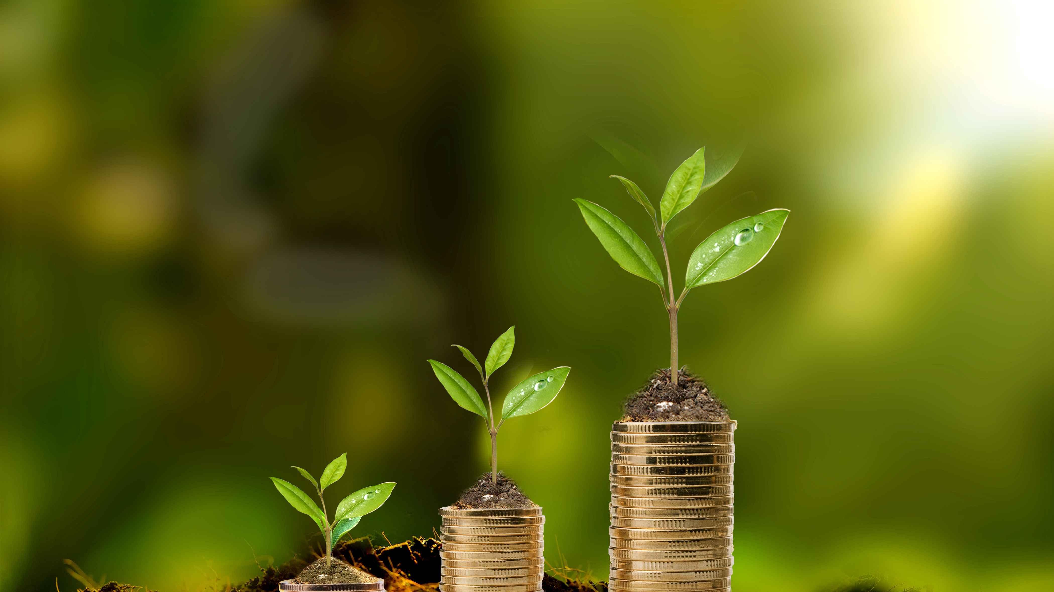 总交易额超200亿元，2025长租公寓成资本新选择