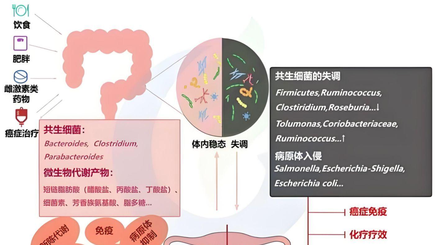 多囊卵巢综合征治疗的新突破