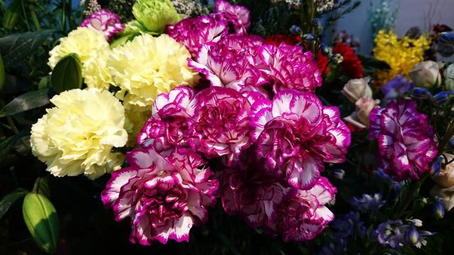 市场需求量10亿枝，每亩产值达6万元，供不应求的市场仍有潜力