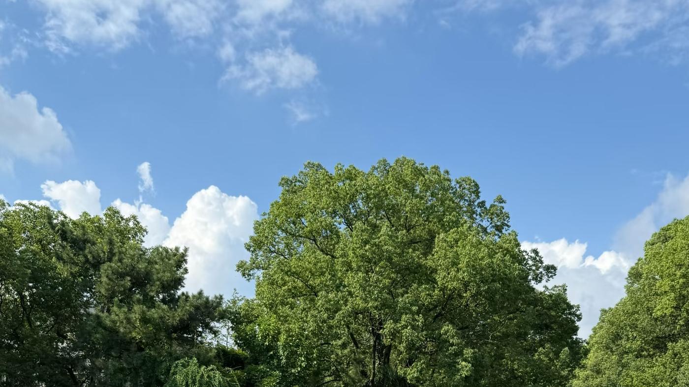 成都街头遇 “同款”，林肯飞行家的惊喜不止豪华