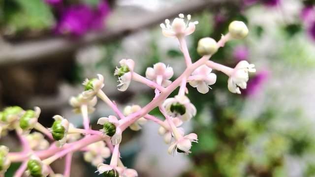 我建议你，适当“无能”