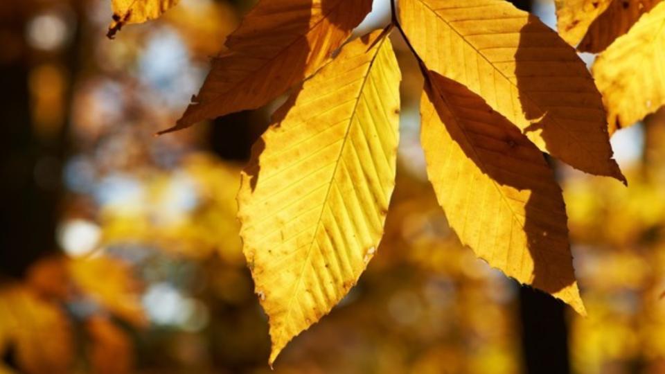 人一过60，永远不要在熟人面前，说以下几句话，谁说谁后悔，切记