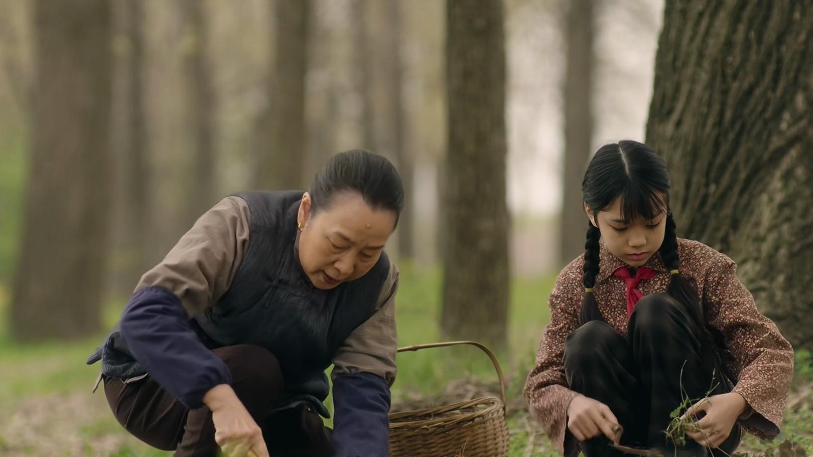 《六姊妹》刘美心偏心了一辈子！原来，这才是何家喜霸占家产真相