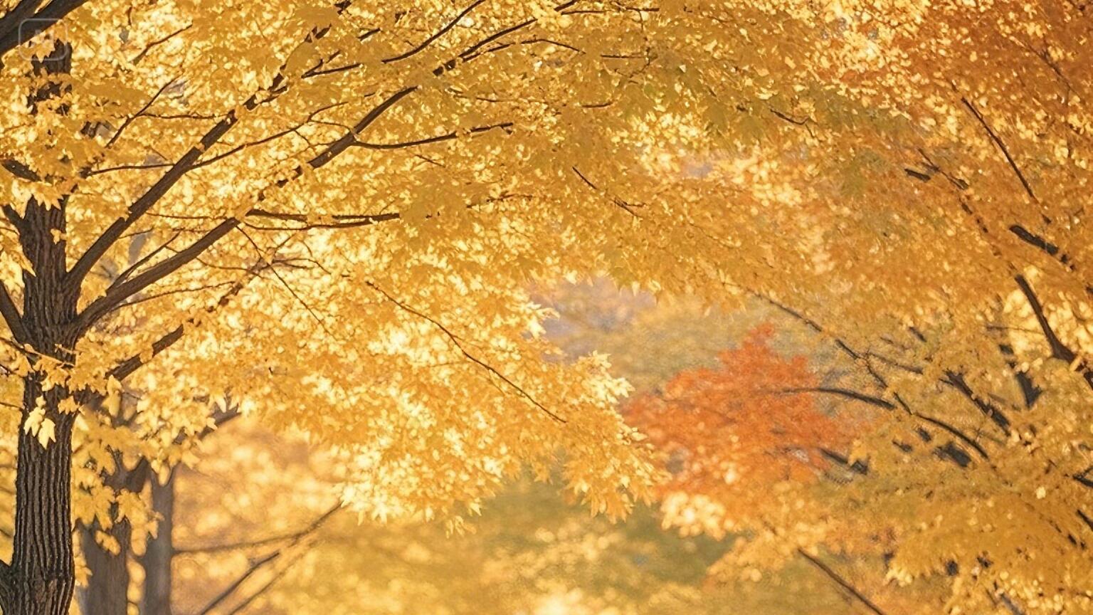 人老了才明白：这一生最大的靠山，既不是儿女，也不是老伴，而是这三样