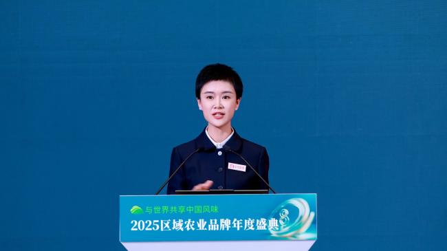 贺娇龙：让新疆风味成为“顶流”