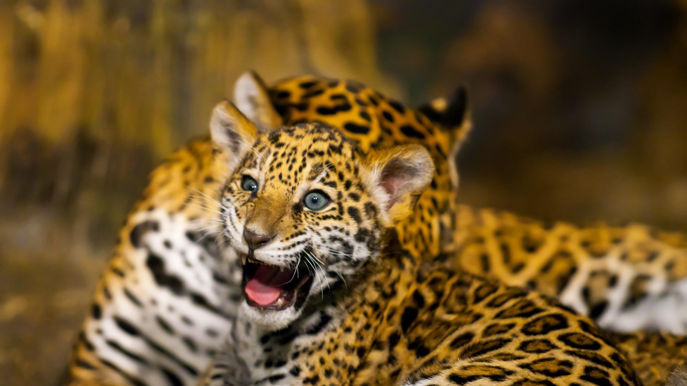 “十五五”规划露底了？万亿市场，财富密码竟藏在这三大赛道！