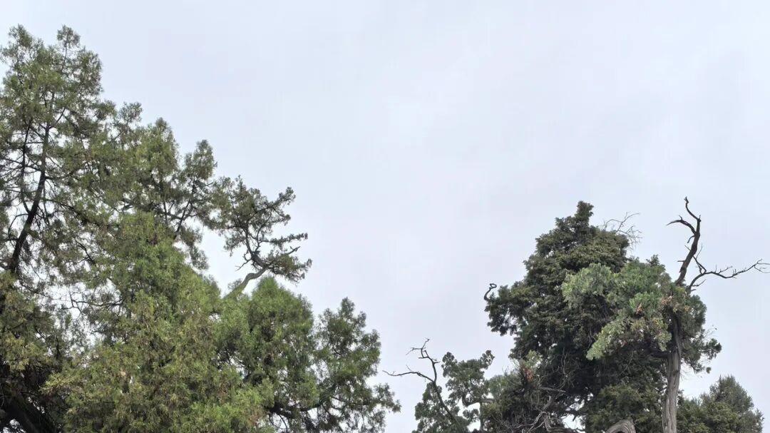 山西汾城，一座拒绝开发的千年古城，藏着多少被时光掩埋的秘密？