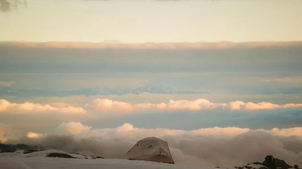 我又不求谁，为什么要放低自己的姿态说那些话？