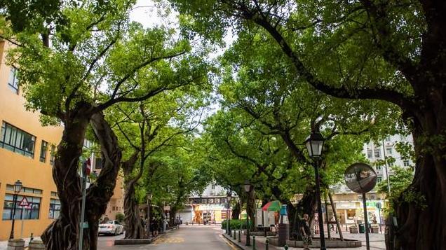 广州最出名的岛屿“沙面”，面积不到半平方公里，却充满异域风情