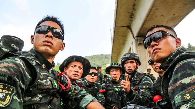 我国用动物命名的4支特种部队，光听名字就让人胆寒，你知道吗？
