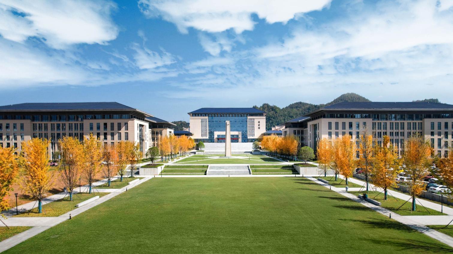 时光鎏金，银杏为证——在湖北恩施学院邂逅金色浪漫