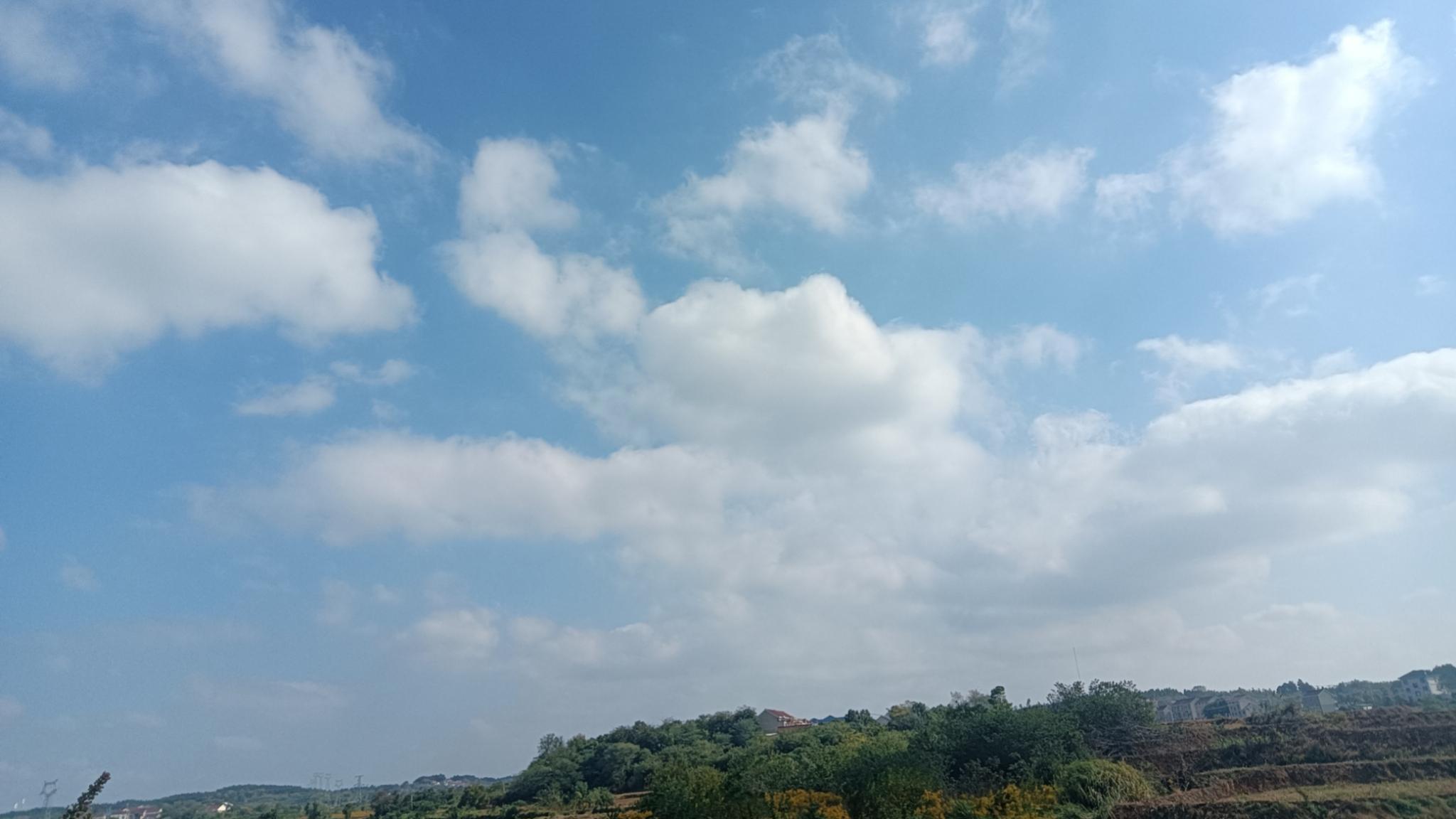 这位山东教师打卡工资数额以及副高职称进档速度真是让人羡慕不已