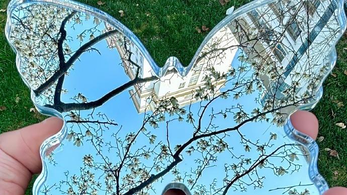 十一月很温暖很走心的早安语录，简短精致，沁人心脾！