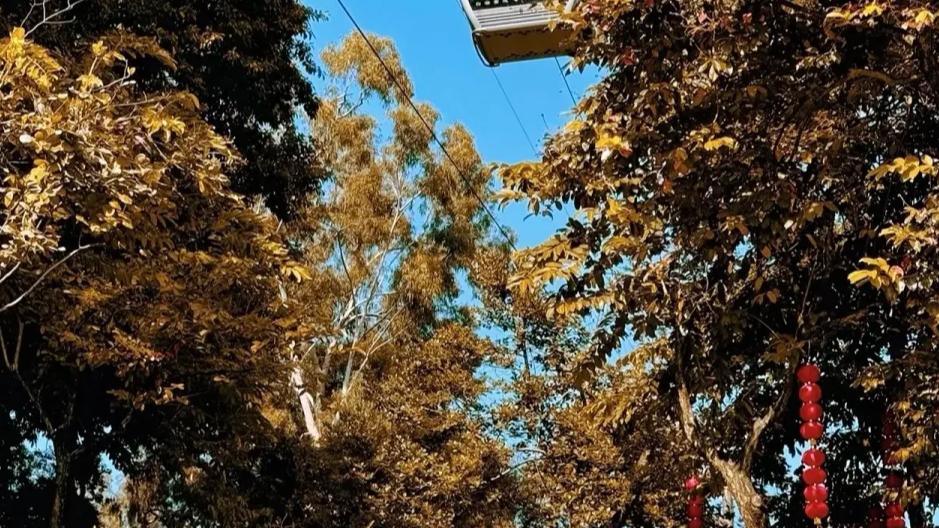 均温28℃，12月最热情的6个热带小城，受够了冬天，就挑一个去过夏天！！！