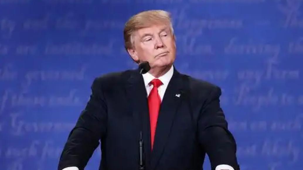 特朗普的老板式和平：乌克兰的20点计划能打动终审法官吗？