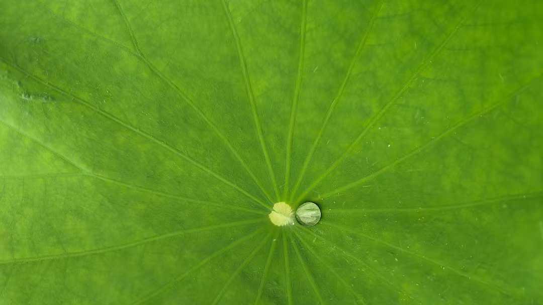 一次按部就班的制度会议