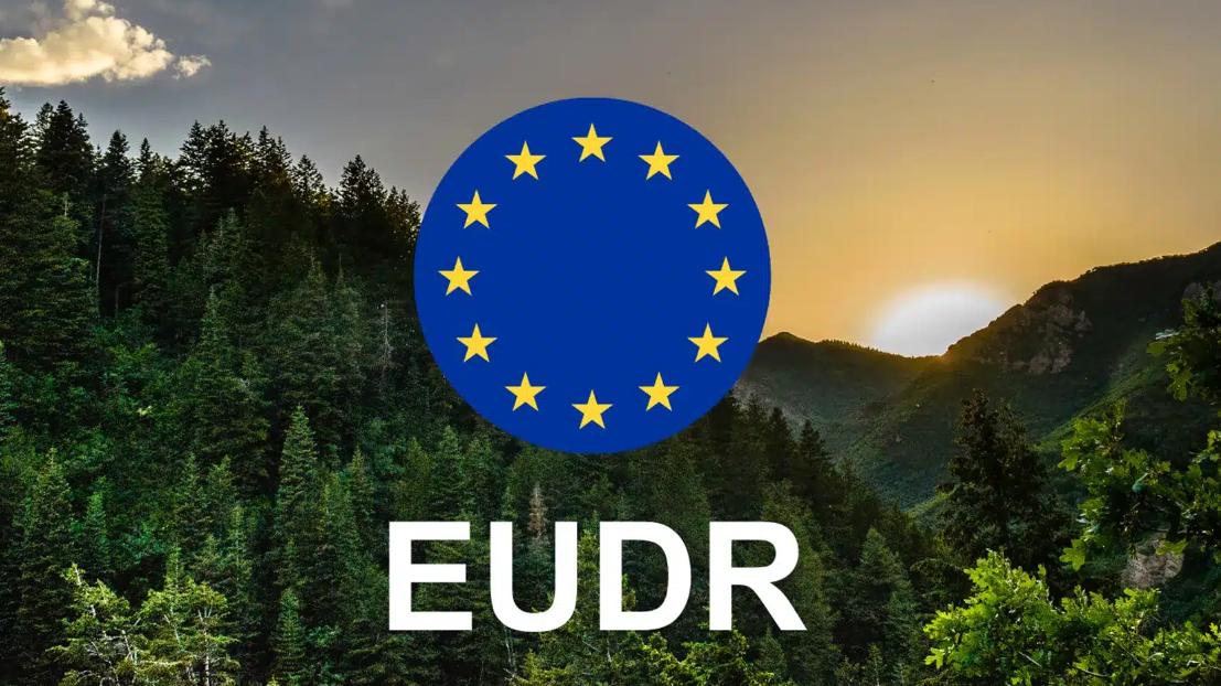 已批准！《欧盟零毁林法》新动态：企业可获得一年“喘息期”！