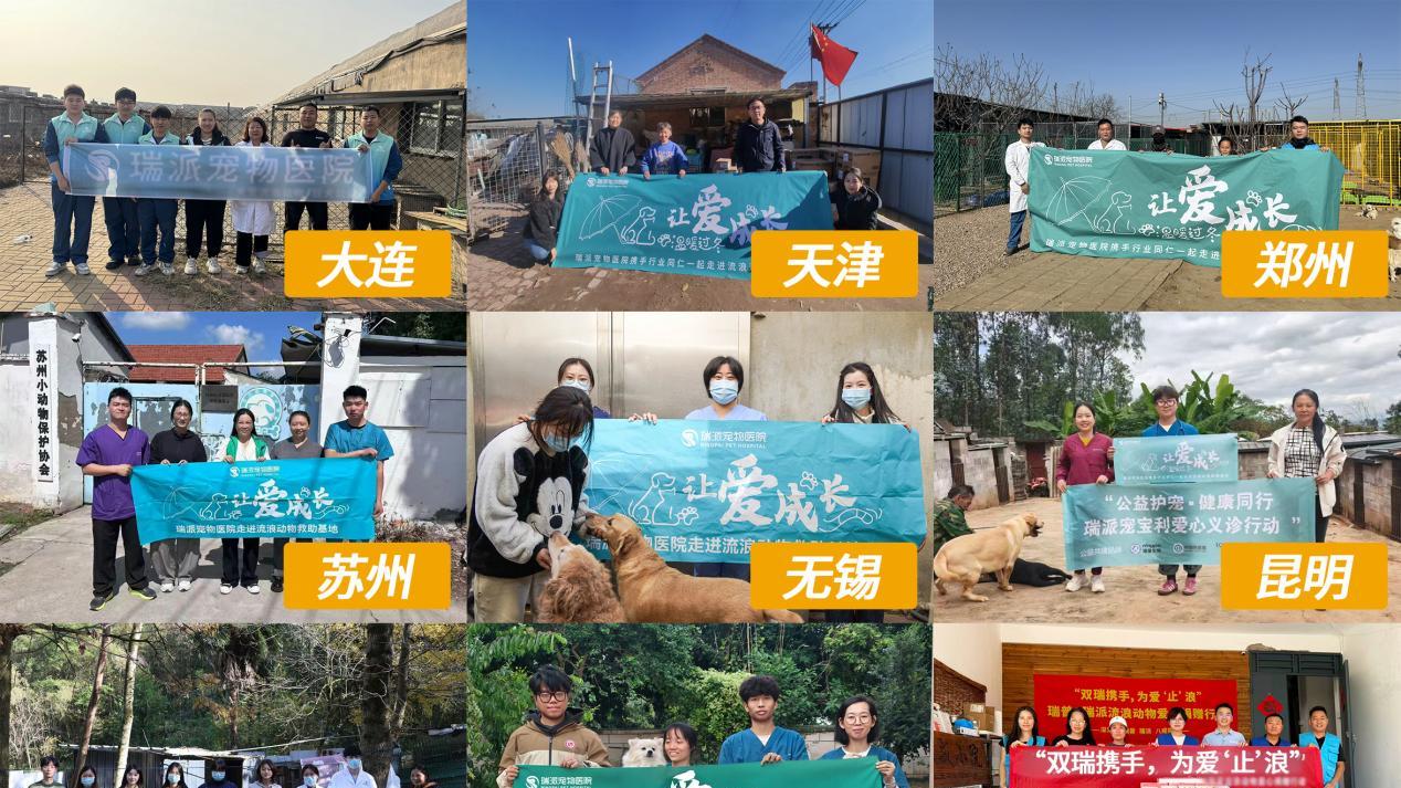 瑞派宠物以专业医疗赋能救助，2025公益温暖收官