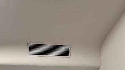 养猫家庭必备！中央空调才是终极空气净化方案