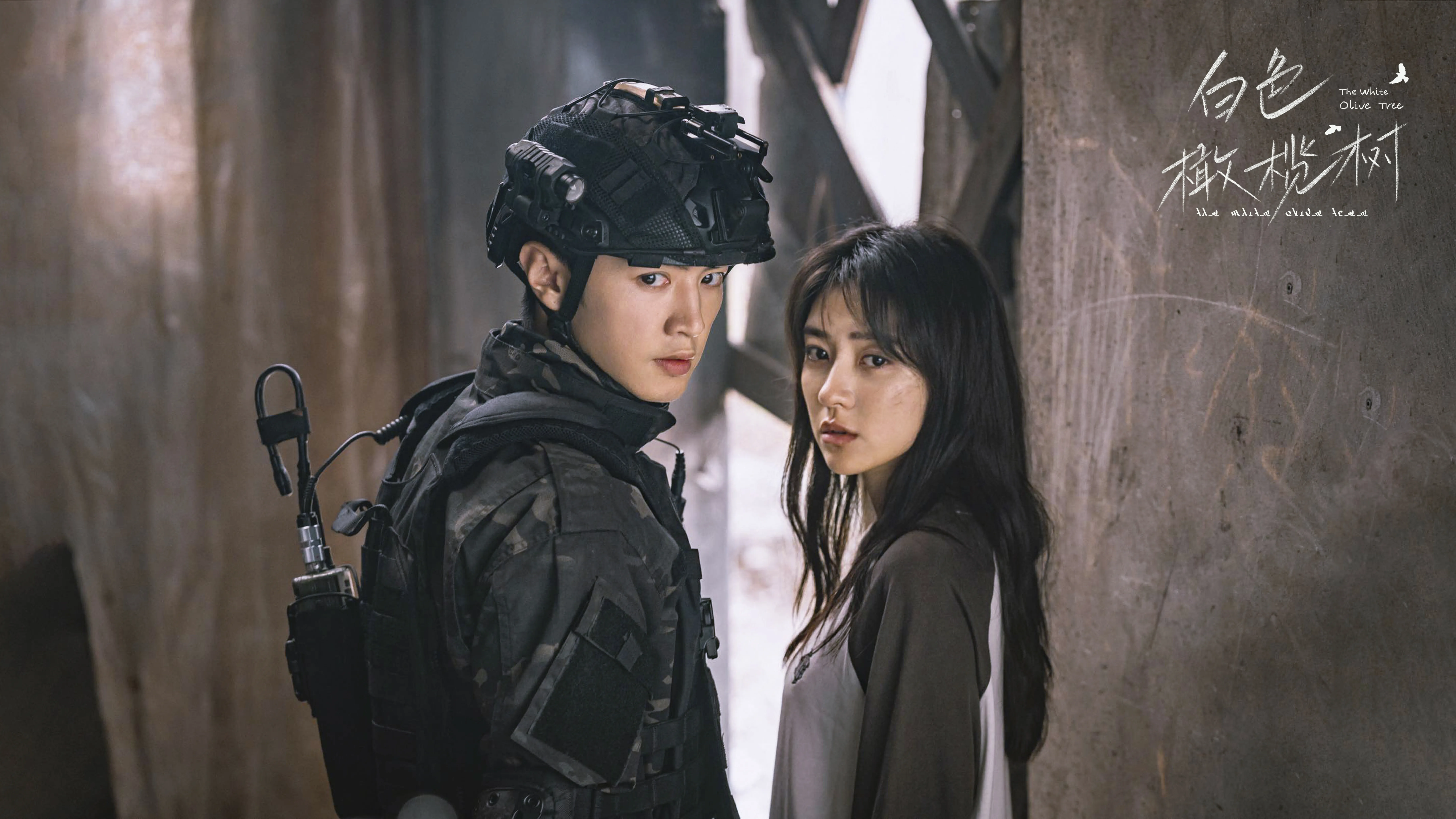 超前点映《白色橄榄树》在线观看免费高清完整版-(2025/中国大陆)_ 大陆剧全38集【高清完整版资源】