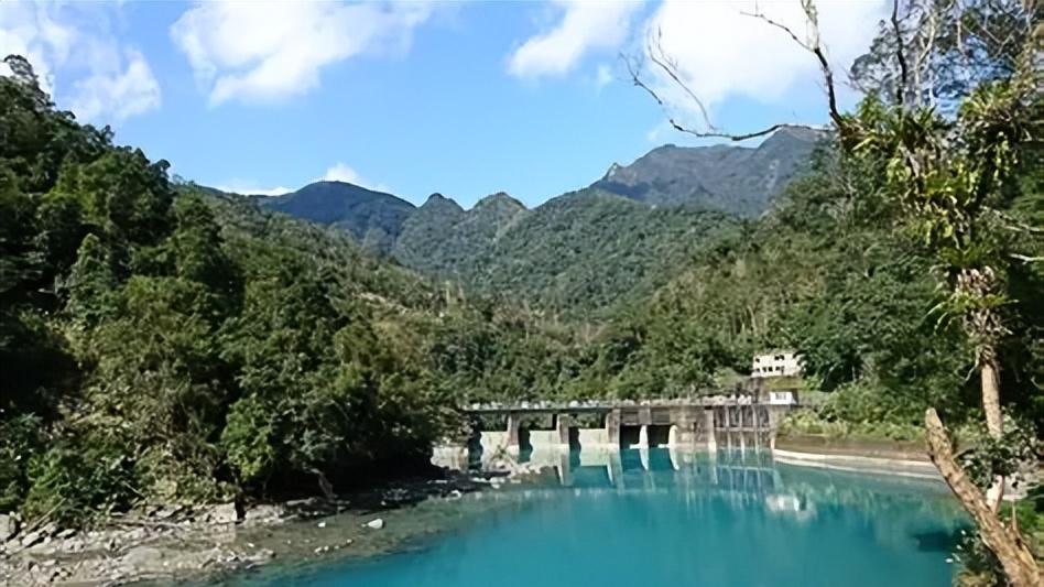 【2025森林景点推荐】世界评比最美步道、银杏森林、全都有