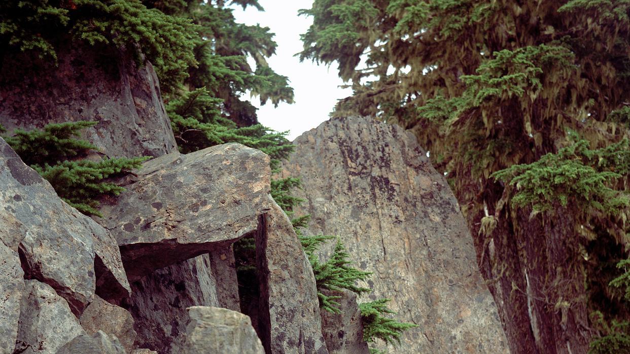 晋北秘境·天柱揽胜：静乐天柱山"三绝七景"全攻略