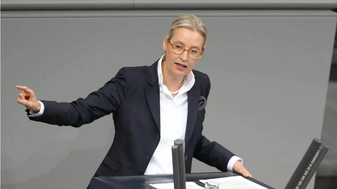 德国政坛震荡组阁僵局未解，极右翼势力逼近执政门槛