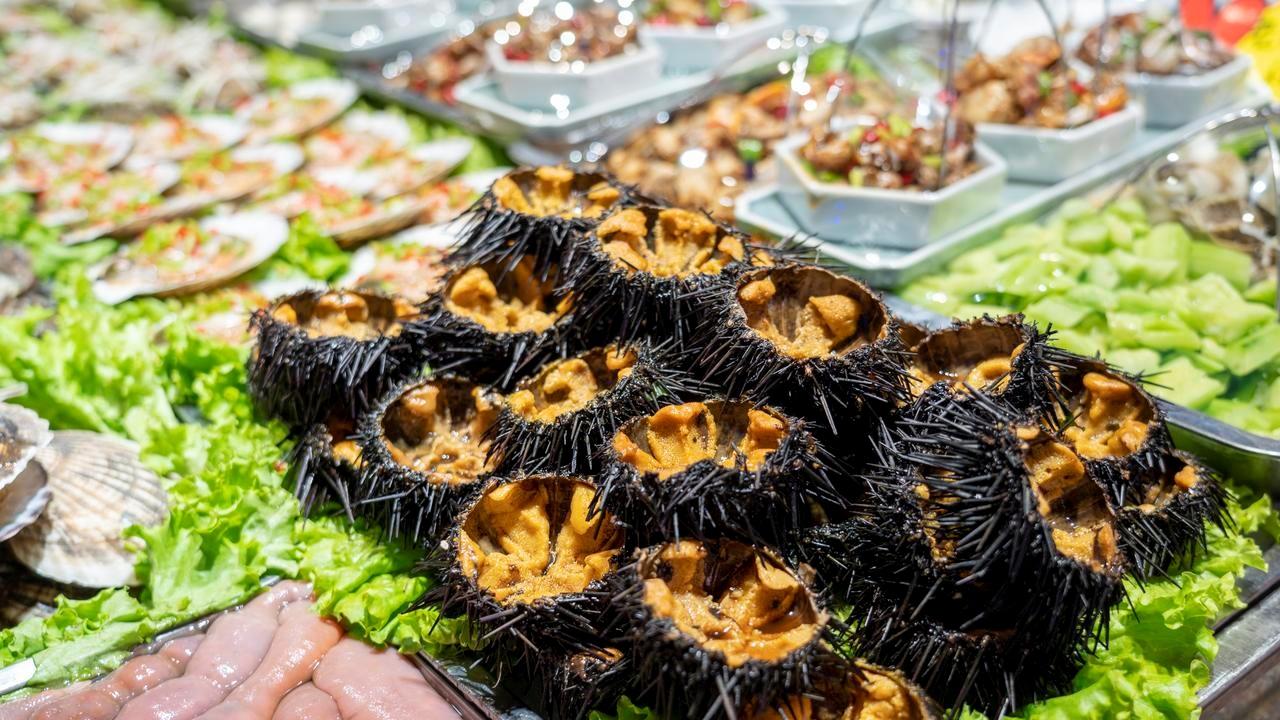 日料便宜+海鲜好吃！东北这座海滨老城才是最适合避暑逛吃的