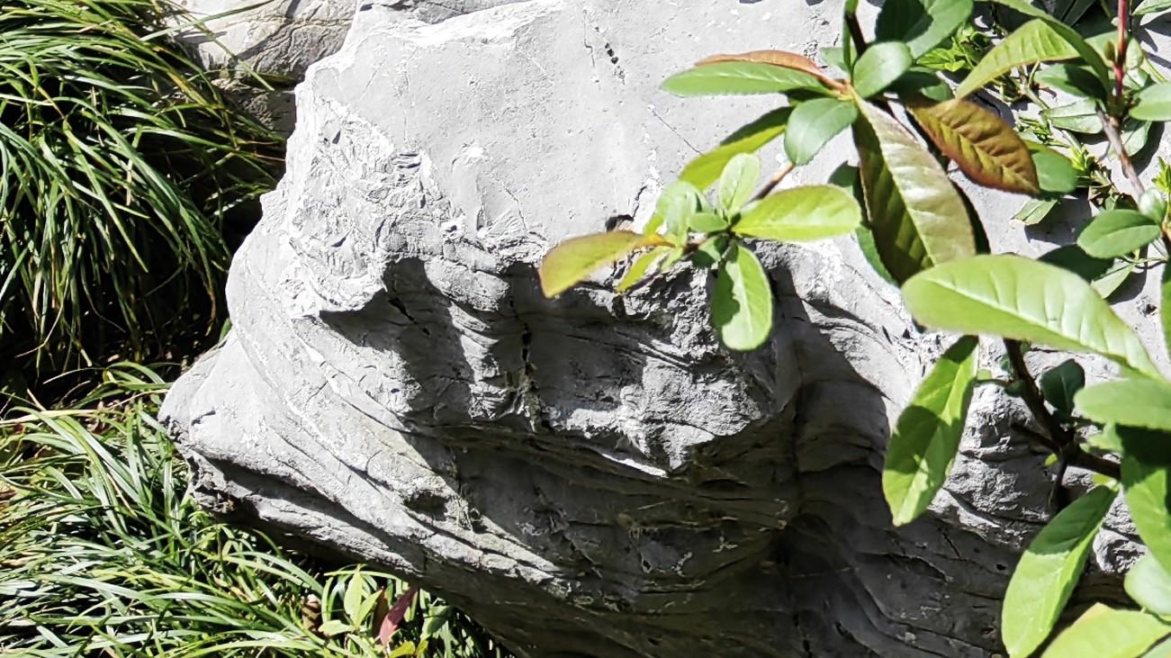 人在职场，以真为本