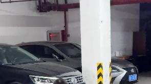 130万像素的降维打击，极氪9X这大灯是在车头装了台投影仪？