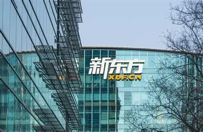 大专生的学历焦虑，我靠新东方专升本解开了