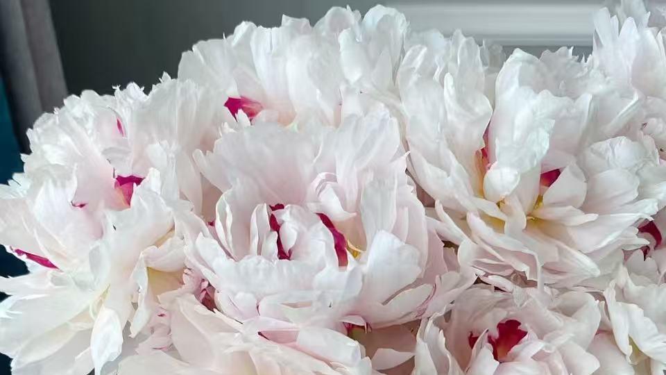 爱情里的信任，从不是突然降临的光