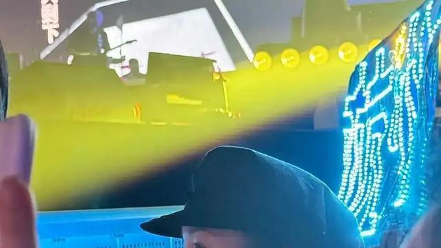 41岁陈妍希现身林俊杰演唱会，戴报童帽与男友人合照俏如少女