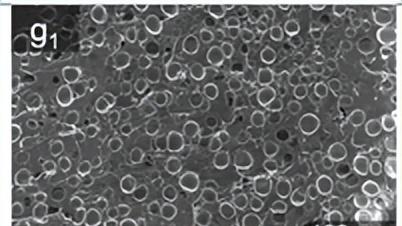 5.5MPa拉伸强度+510.8%断裂伸长率，3D打印泡沫材料再突破