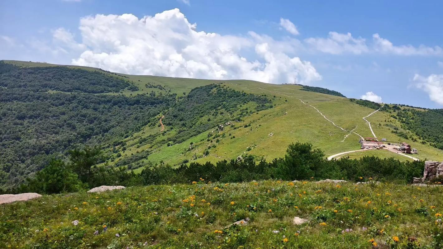 山西历山舜王坪旅游攻略及综合服务旅行社推荐榜：太行之巅的“舜帝遗韵”，这样游最懂它的苍茫与温度
